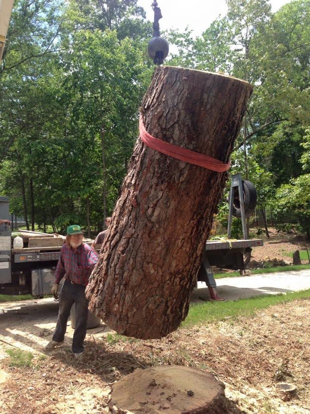 Stanley Tree crane lifting a pine trunk